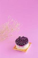 Blueberry cheesecake  on a pink background and copy space
