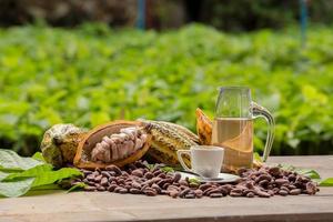 Granos de cacao crudos y mazorcas de cacao sobre una superficie de madera foto