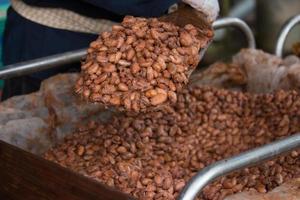 cacao en grano fermentado y fresco en la caja de madera foto