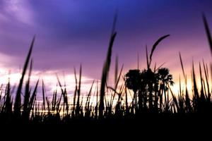 Colorful dramatic sky with cloud at sunset.Sky with sun background photo