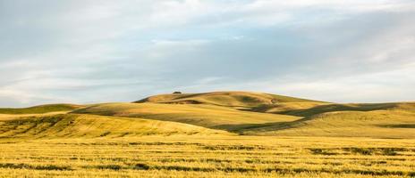 Rolling hills and Farm Land at palouse washington photo