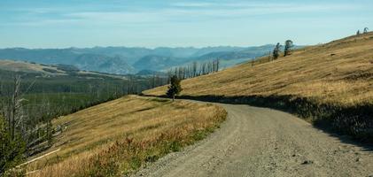 Mt Washburn trail in Yellowstone National Park, Wyoming, USA photo