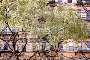 beautiful trees infront of old brick building photo