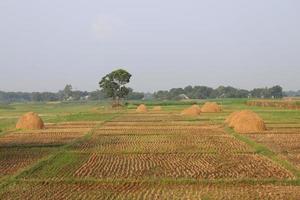 beautiful village view with nature photo