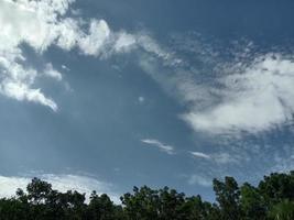 cielo azul con hermosa naturaleza verde foto