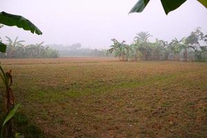 campo verde y cielo gris foto