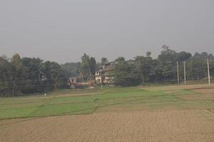 green field and gray sky photo