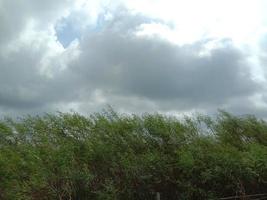 Blue Sky With Beautiful Green Nature photo