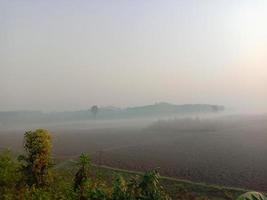 nature with field and sky photo