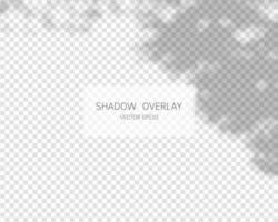 Shadow overlay effect. Natural shadows isolated on transparent background. Vector illustration.