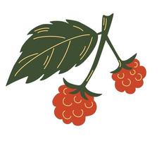Branch of raspberry with leaves and red berries. Organic collection. Raspberry with leaves. Blank for designers, icon, logo, market, agriculture. Vector illustration on white background.