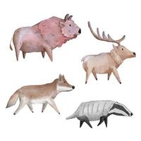 A watercolor set of animals consisting of 4 breeds of animal. vector