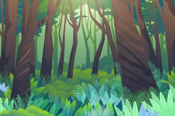 Scene forest of trees and green low hedges
