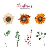 Watercolor flower set vector