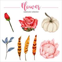 Watercolor flower set vector