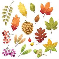 set of icons with berry, walnut, leaf and dried pine cones vector