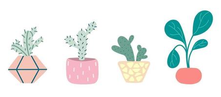 Set with succulents in pots. Homemade potted plants . Vector illustration