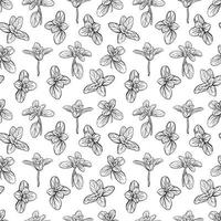 basil leaves seamless pattern vector