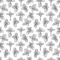 basil leaves seamless pattern vector