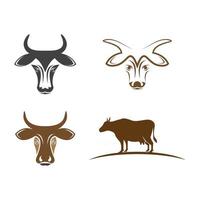 Cow logo images illustration vector