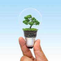 Green eco energy concept. Tree growing inside light bulb. nature background. Think green and Ecological concept. world environment day. photo