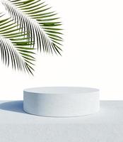 White product display podium and tropical palm leaves with sea background. 3D rendering photo