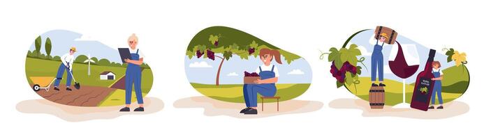 A grape farmer cultivates and harvests grapes for use in wine making. vector