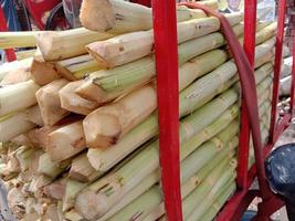 sabroso y saludable corte pese caldo de caña de azúcar foto