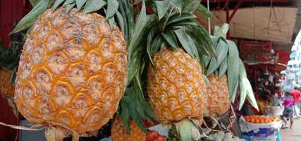 tasty and healthy orange colored pineapple stock