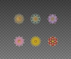 set of isolated ornamental geometric fowers vector