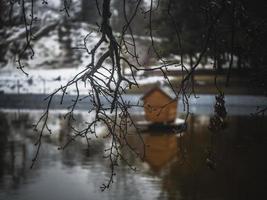 tree branch on a blurred background of a pond with a bird house