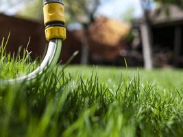 Green grass and watering hose. A house and a garden. uncut grass photo