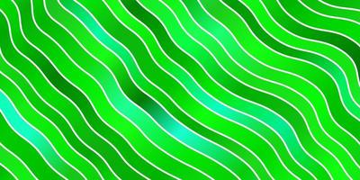 Light Green vector background with curved lines.