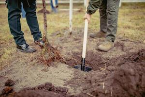 gente plantando árboles en un hoyo cavado con una pala foto
