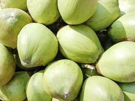 green colored raw coconut stock photo