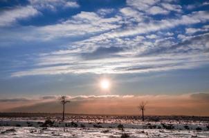 Winter landscape with the sun guarded by two small trees as models on a catwalk photo