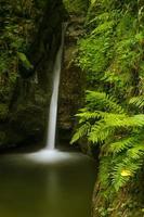 Cascada en las montañas de los Cárpatos que fluye de un barranco tallado en piedra y cubierto de musgo foto