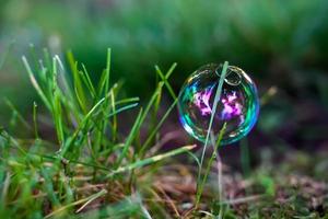 Bubble on green grass at morning photo