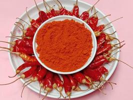 Dry Red Chilli stock and powder photo