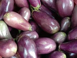 Fresh and healthy Raw Brinjal Stock photo