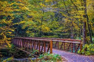 views along virginia creeper trail during autumn photo