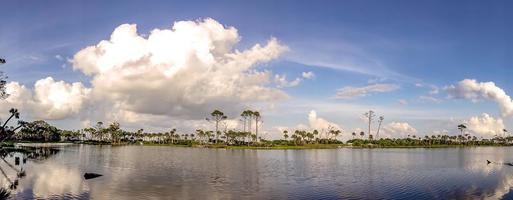 nature landscape scenes around hunting island state park in south carolina photo