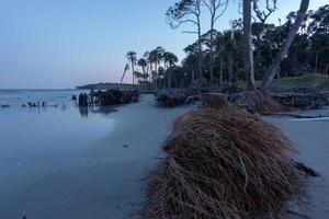 scenes around hunting island south carolina in summer photo