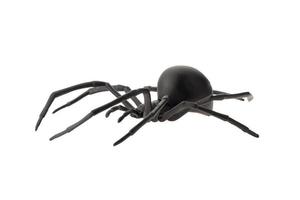 Fake rubber spider toy isolated over a white background photo