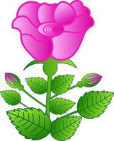 rosa con hoja floral ilustración vectorial vector