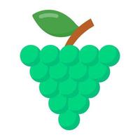 Bunch of Grapes vector