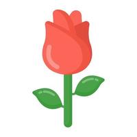 Rose and Fragrance vector
