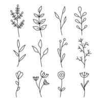 colección de elementos florales simples minimalistas. boceto gráfico. diseño de tatuaje de moda. flores, pasto y hojas. elementos naturales botánicos. ilustración vectorial. contorno, línea, estilo doodle. vector