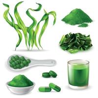 Spirulina Realistic Set Vector Illustration