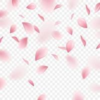 Sakura Realistic Background Vector Illustration